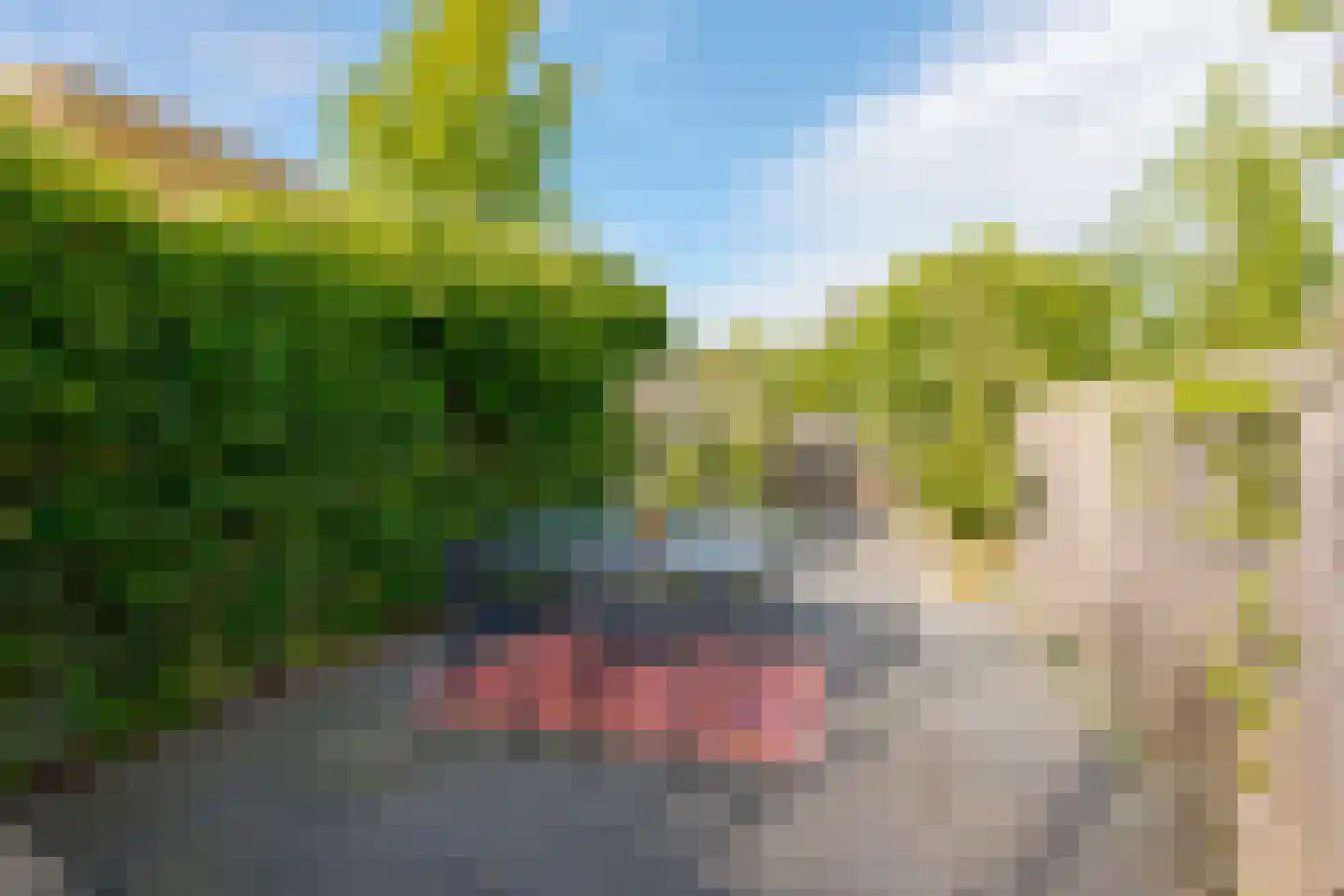 Wulphof 19 Zwolle thumbnail 38