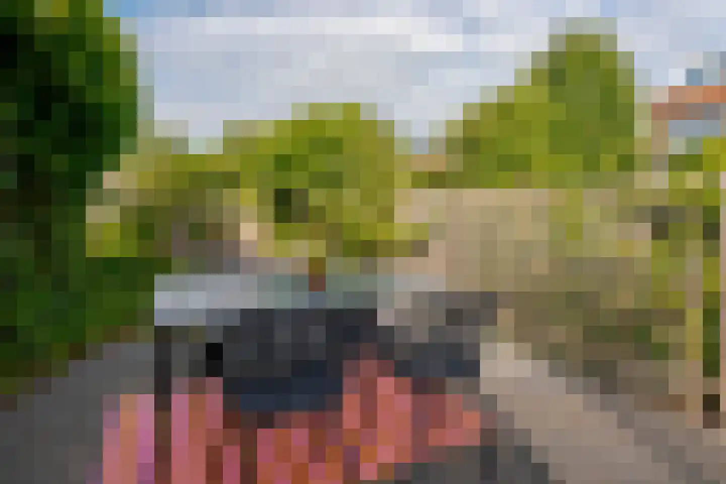 Wulphof 19 Zwolle thumbnail 39