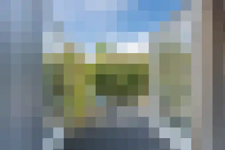 Wulphof 27 Zwolle thumbnail 12