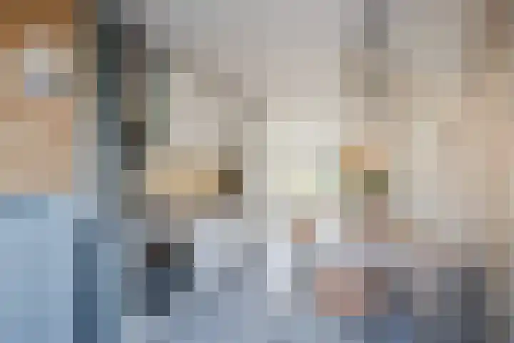 Wulphof 27 Zwolle thumbnail 13