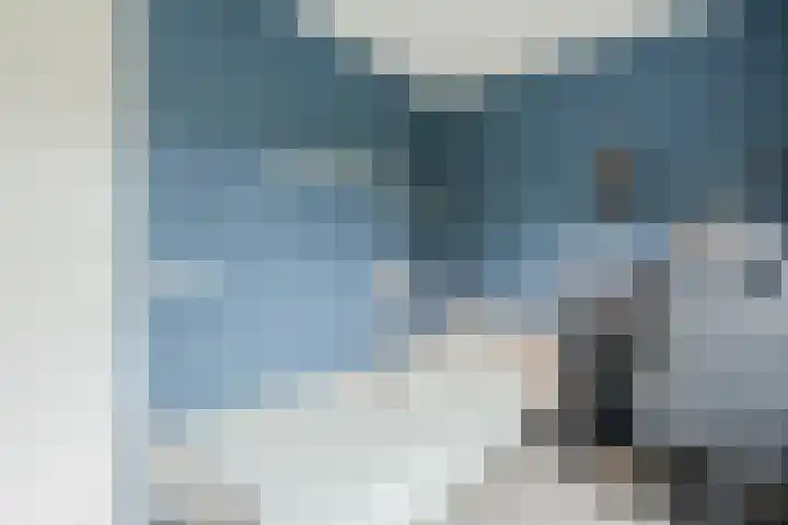 Wulphof 27 Zwolle thumbnail 20