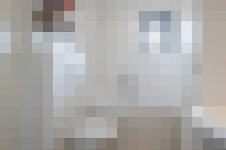 Wulphof 27 Zwolle thumbnail 25