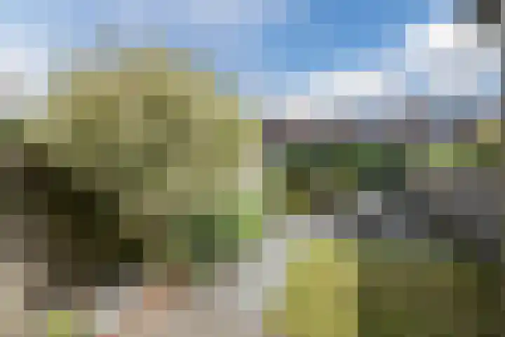 Wulphof 27 Zwolle thumbnail 27