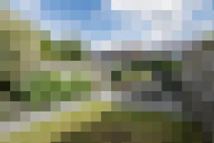 Wulphof 27 Zwolle thumbnail 28