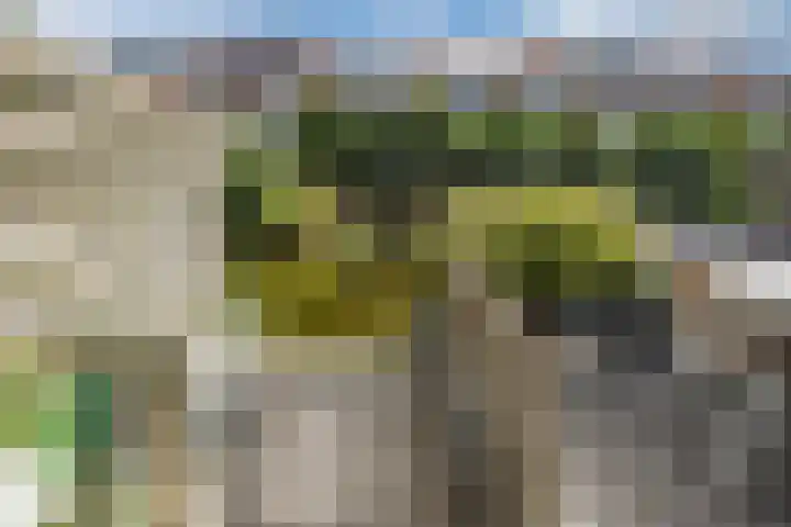 Wulphof 27 Zwolle thumbnail 29