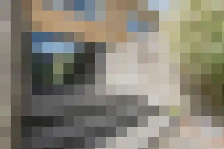 Wulphof 27 Zwolle thumbnail 31
