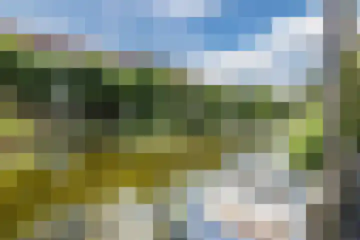 Wulphof 27 Zwolle thumbnail 32