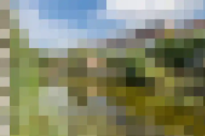 Wulphof 27 Zwolle thumbnail 33