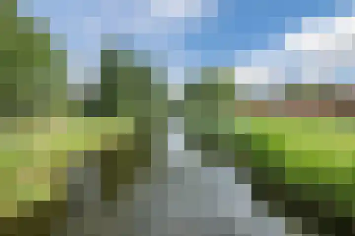 Wulphof 27 Zwolle thumbnail 34