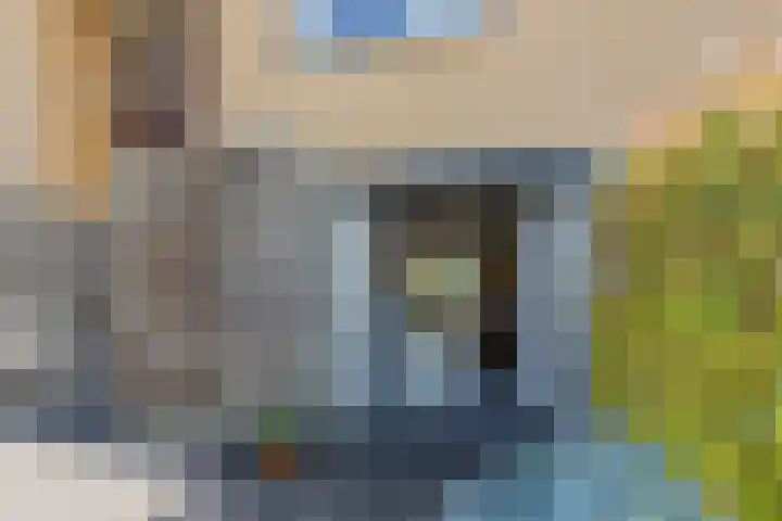 Wulphof 27 Zwolle thumbnail 4