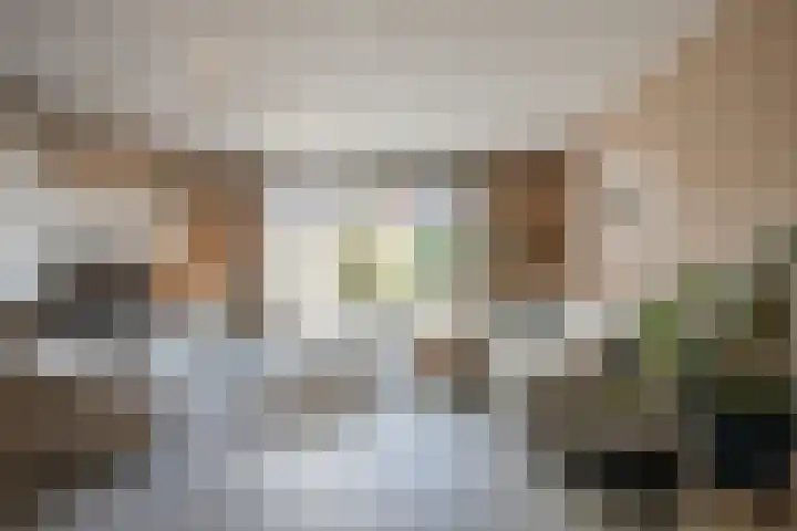 Wulphof 27 Zwolle thumbnail 7