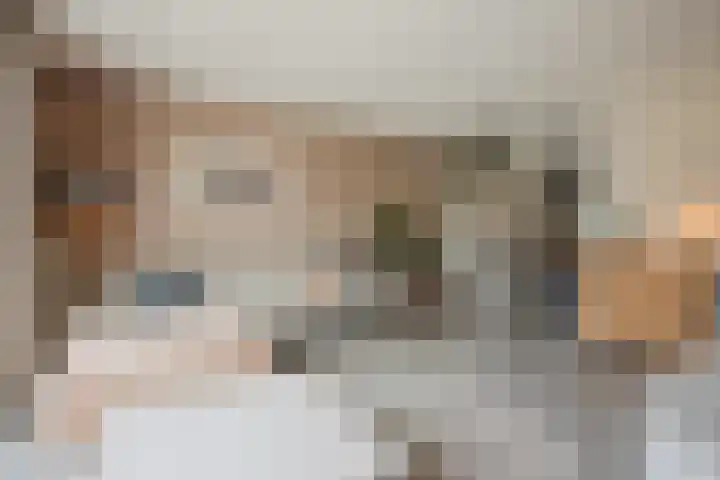Wulphof 27 Zwolle thumbnail 9