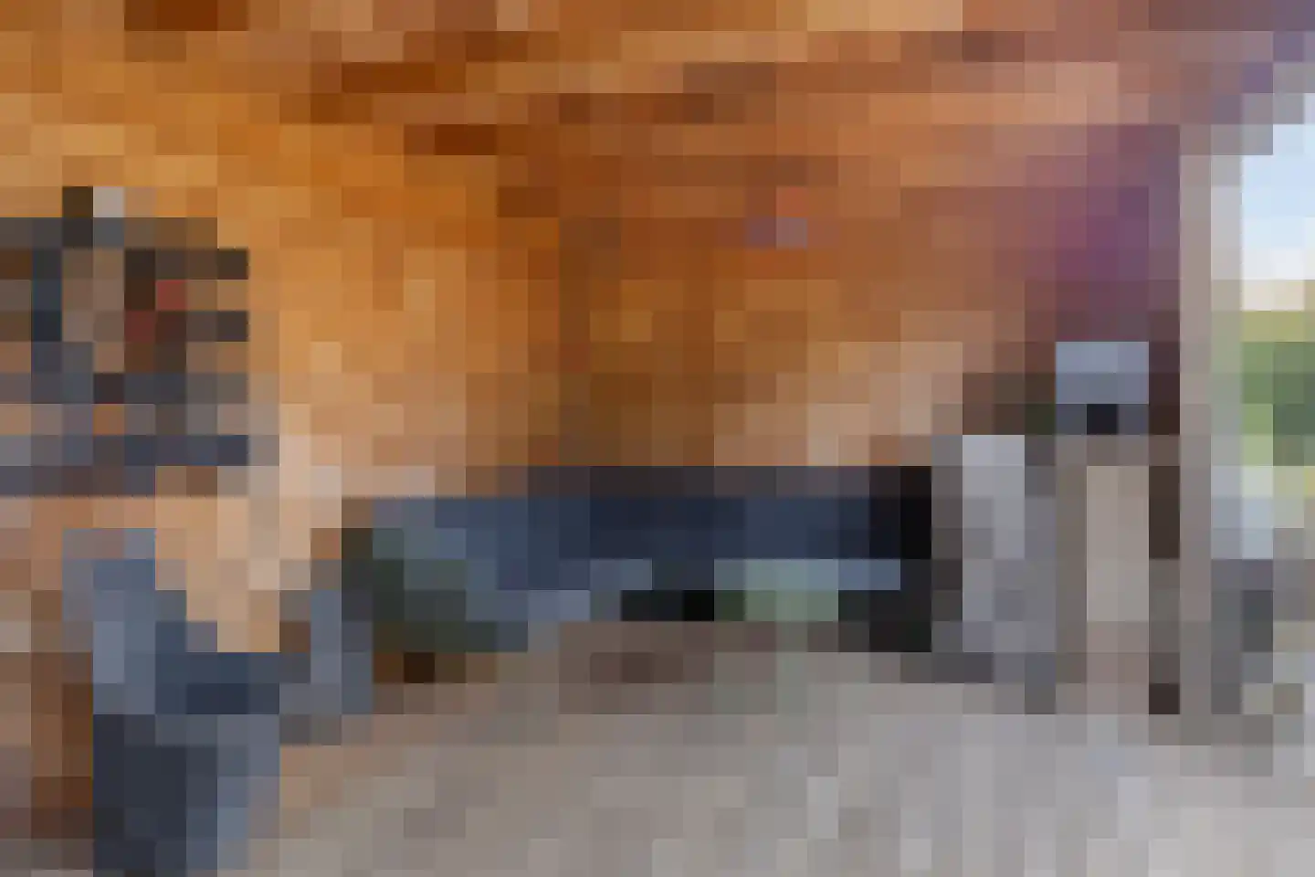 Wulphof 28 Zwolle thumbnail 30