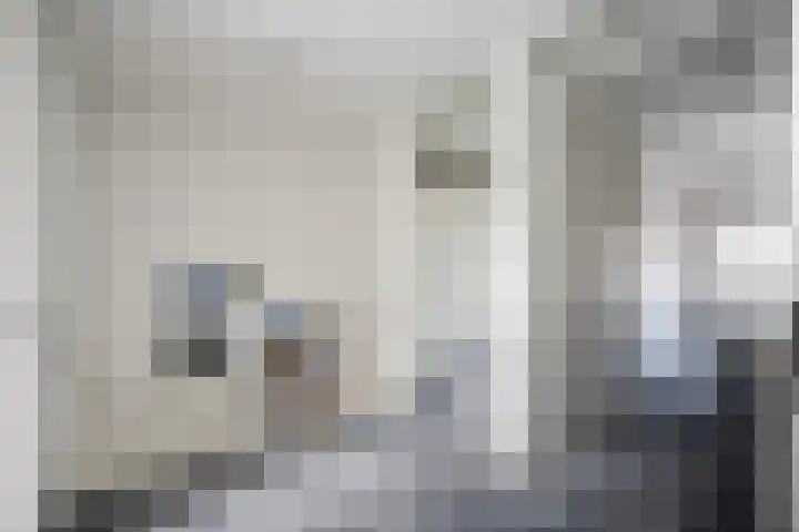 Wulphof 33 Zwolle thumbnail 14