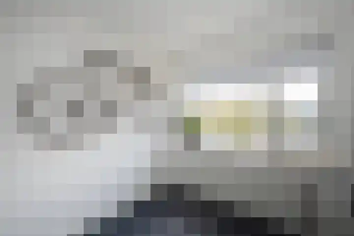Wulphof 33 Zwolle thumbnail 20