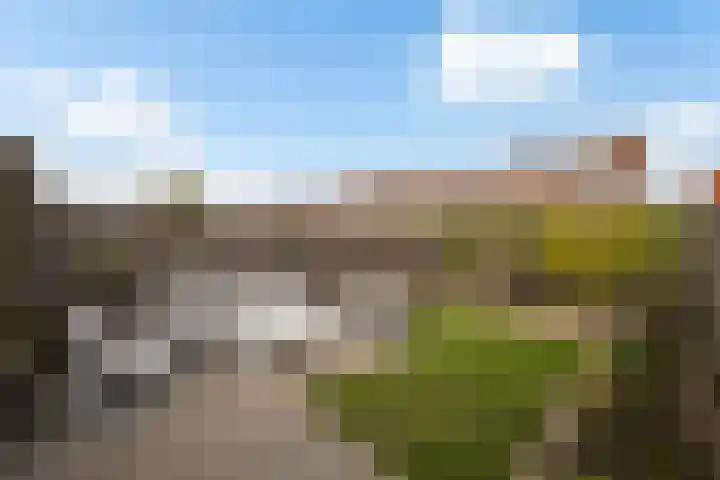 Wulphof 33 Zwolle thumbnail 24