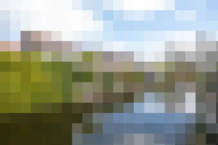 Wulphof 33 Zwolle thumbnail 25