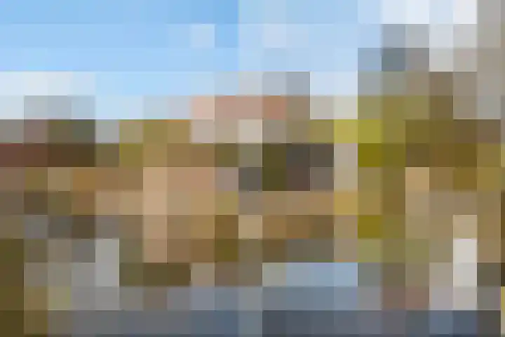 Wulphof 33 Zwolle thumbnail 26