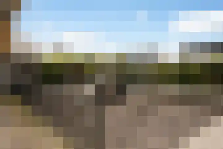Wulphof 33 Zwolle thumbnail 27