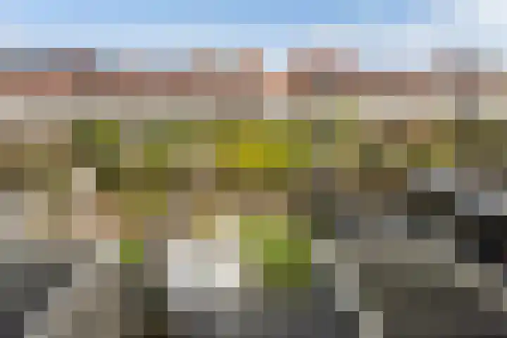 Wulphof 33 Zwolle thumbnail 28