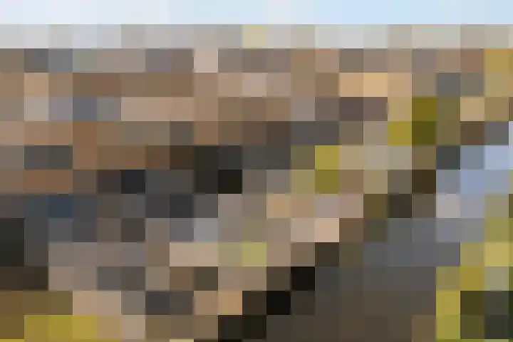 Wulphof 33 Zwolle thumbnail 30