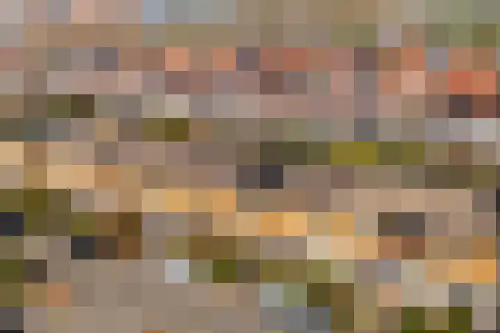 Wulphof 33 Zwolle thumbnail 31