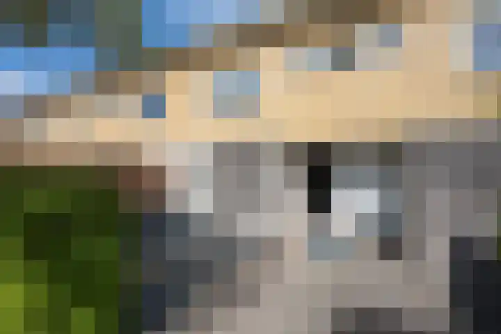 Wulphof 33 Zwolle thumbnail 4