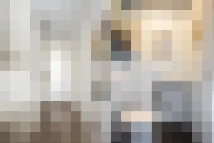 Wulphof 33 Zwolle thumbnail 6