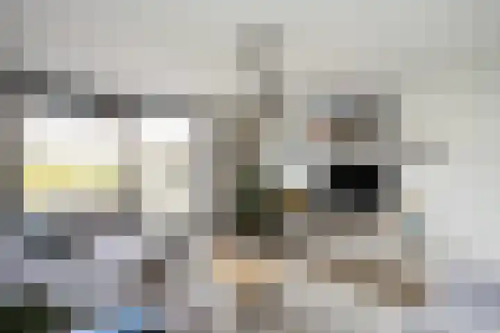 Wulphof 33 Zwolle thumbnail 7