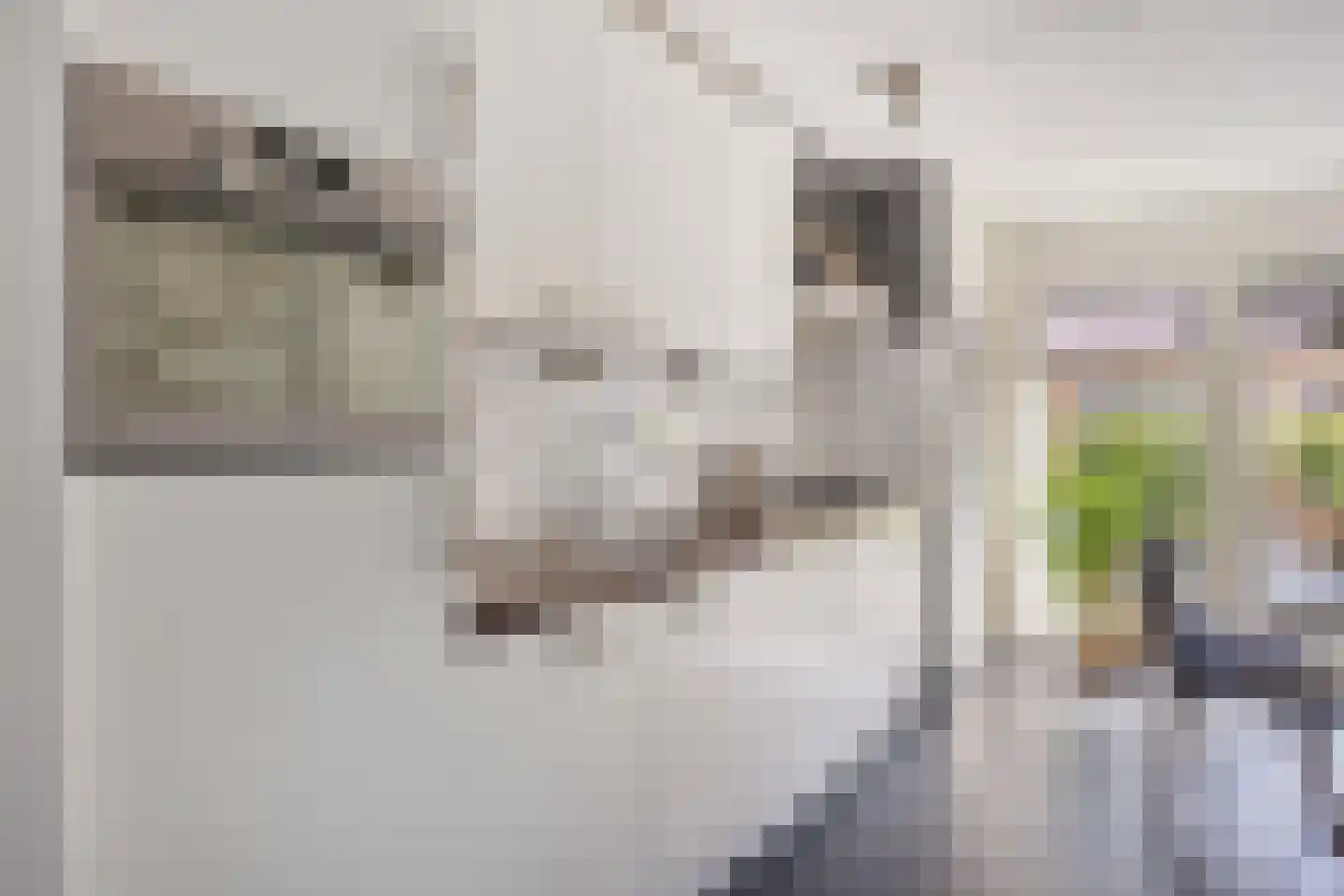 Wulphof 45 Zwolle thumbnail 12