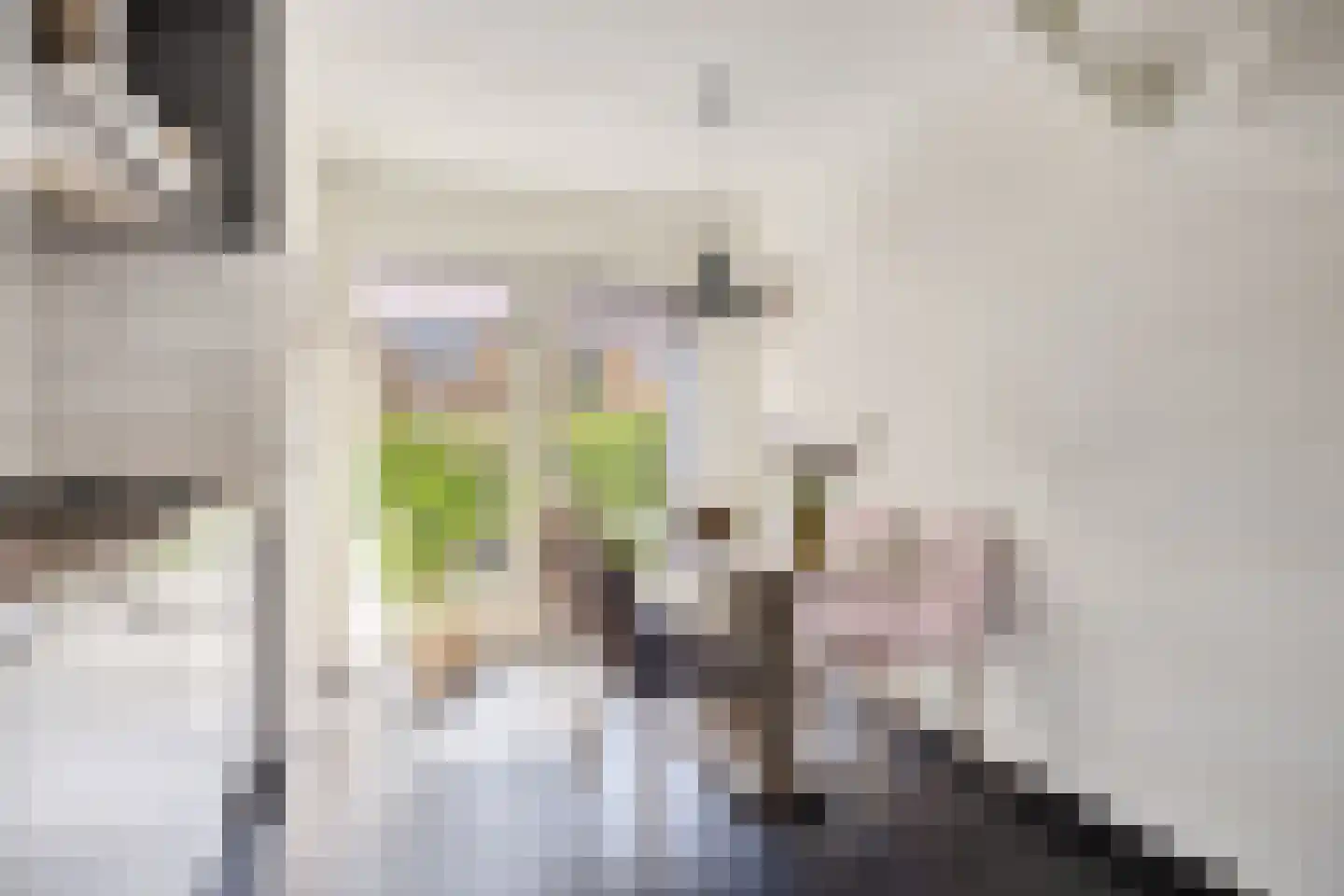 Wulphof 45 Zwolle thumbnail 13