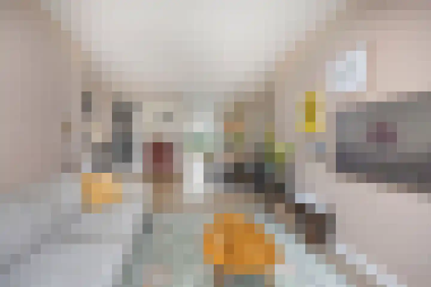 Wulphof 9 Zwolle thumbnail 14