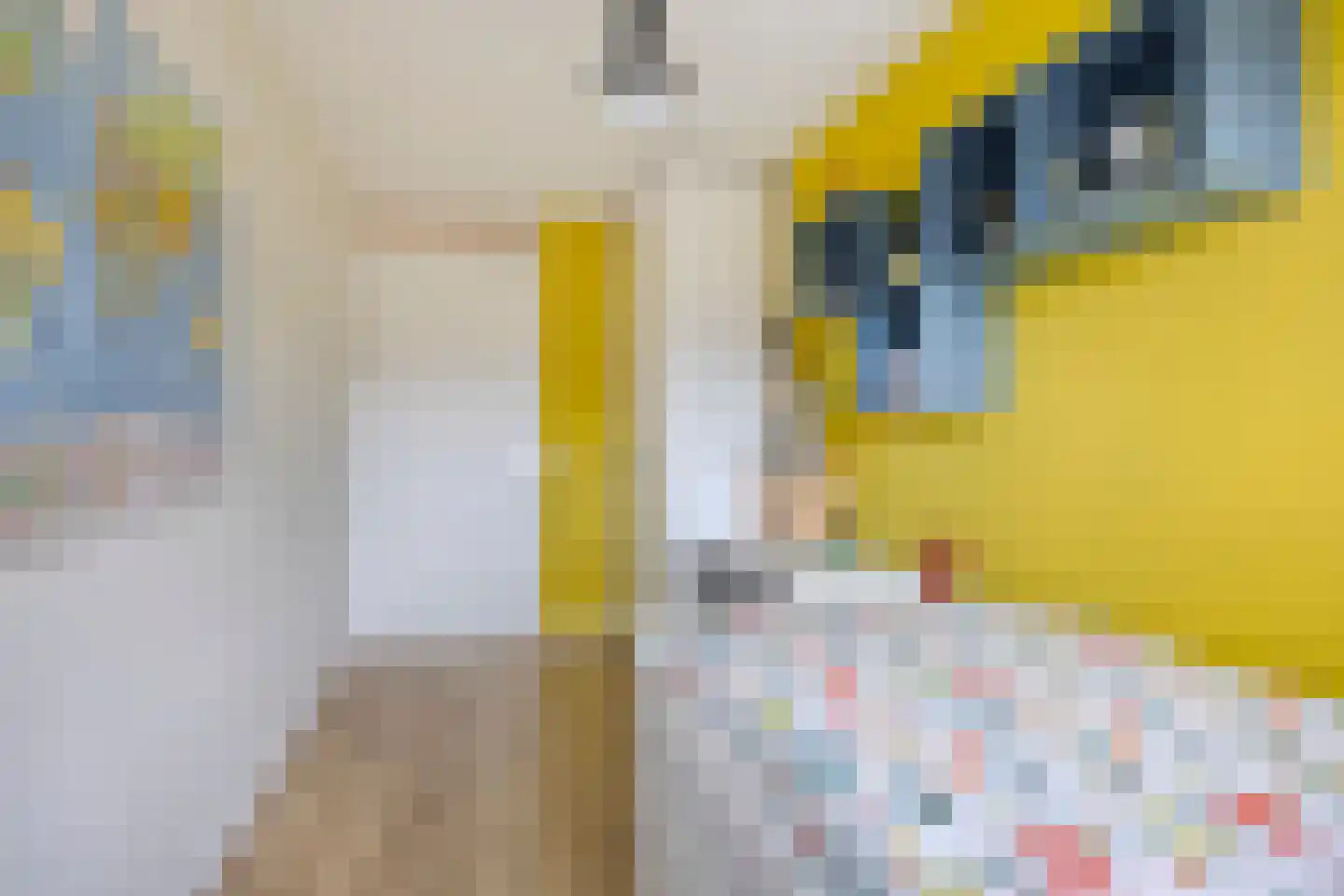 Wulphof 9 Zwolle thumbnail 31