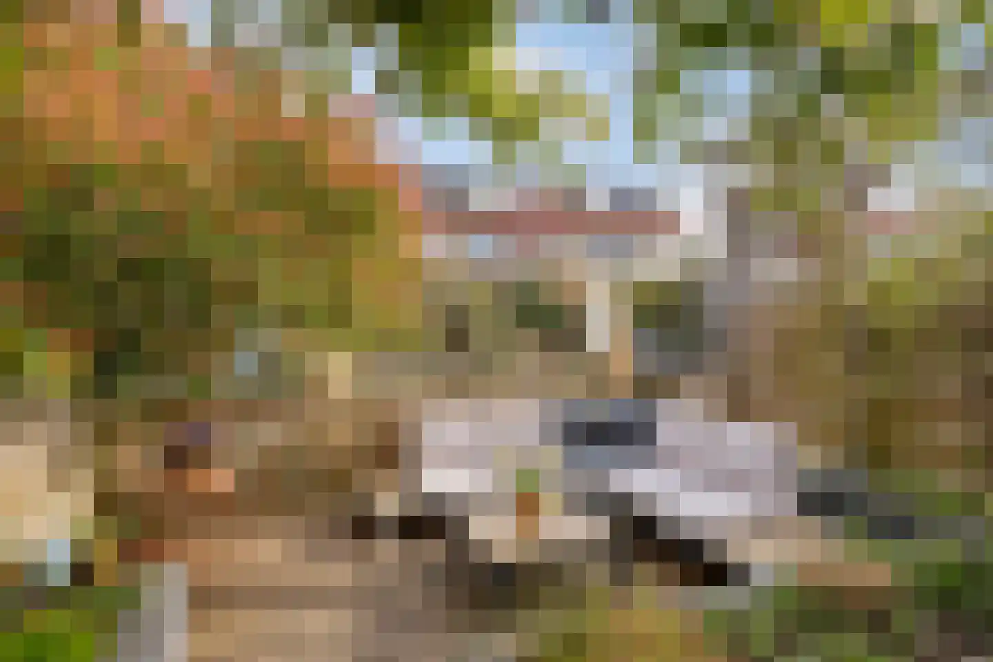 Wulphof 9 Zwolle thumbnail 35