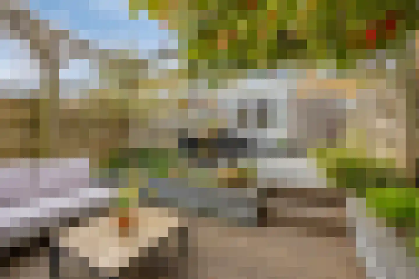 Wulphof 9 Zwolle thumbnail 37