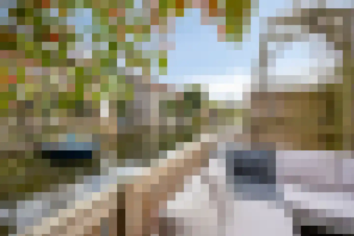 Wulphof 9 Zwolle thumbnail 38