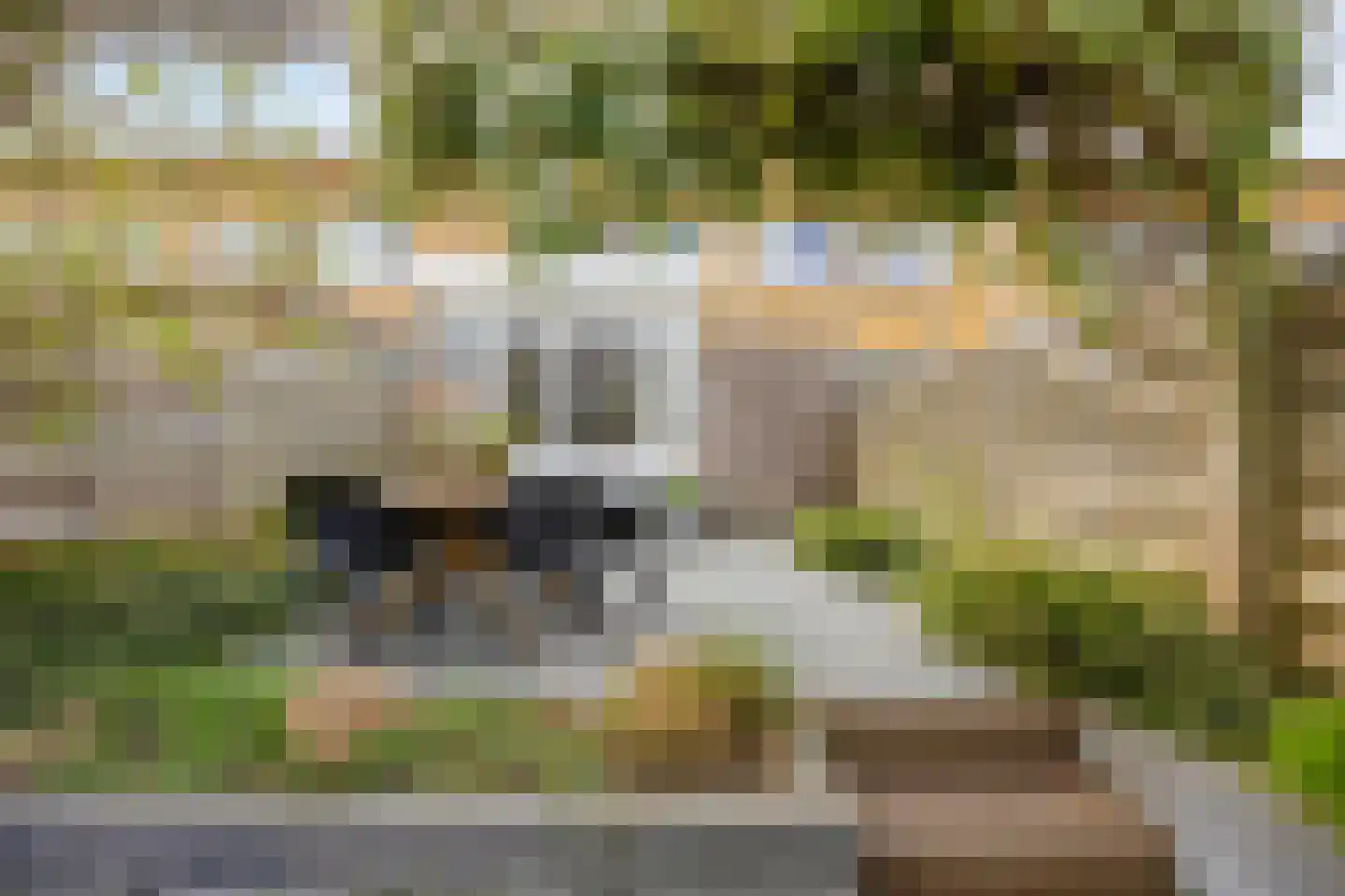 Wulphof 9 Zwolle thumbnail 40