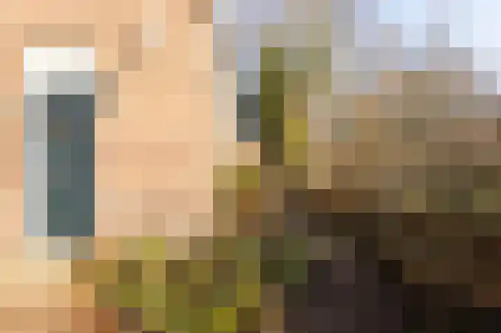 Wulplaan 4 Ede thumbnail 24