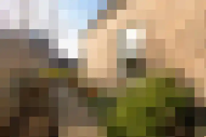 Wulplaan 4 Ede thumbnail 28