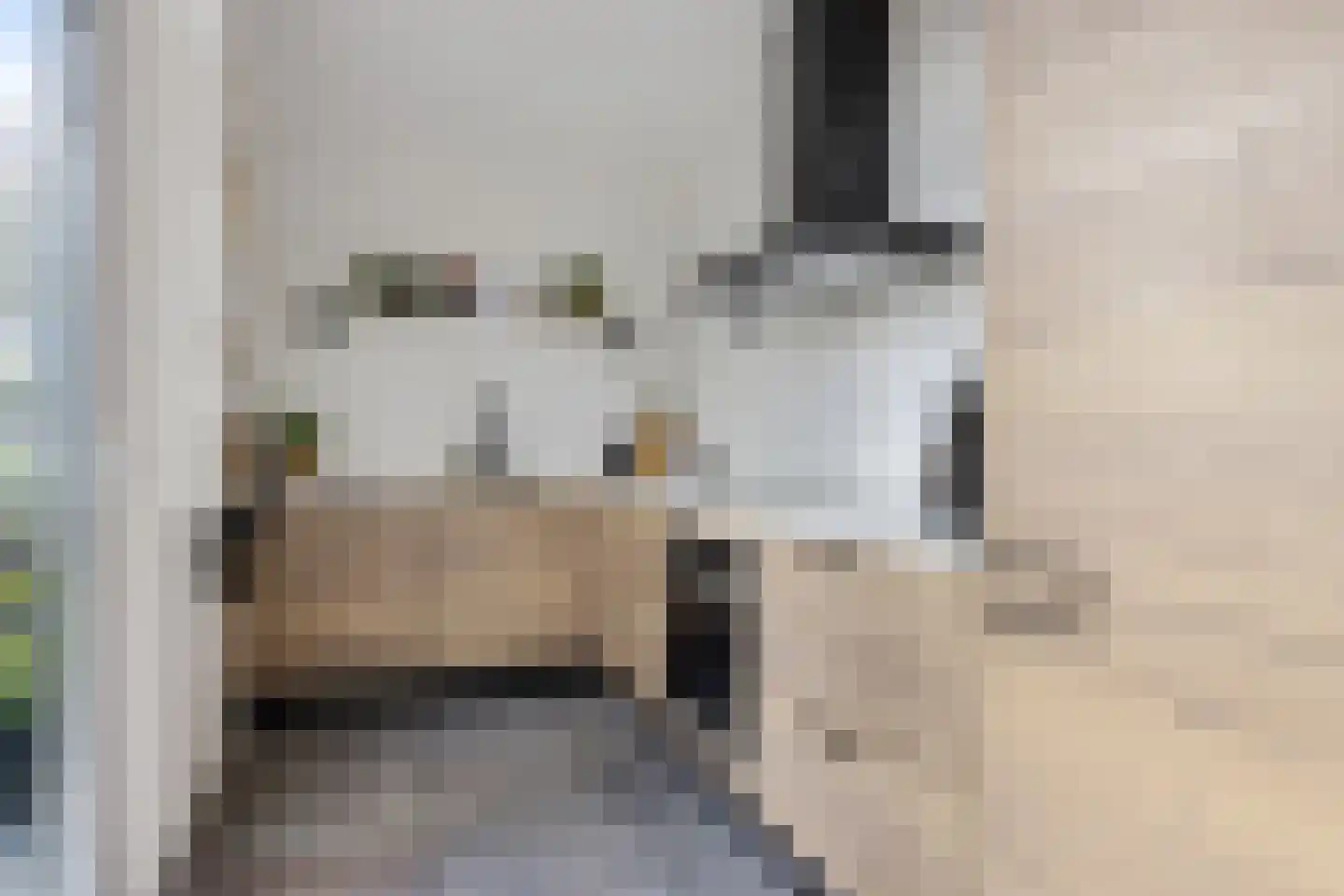 Wulpstraat 1 Heerenveen thumbnail 12