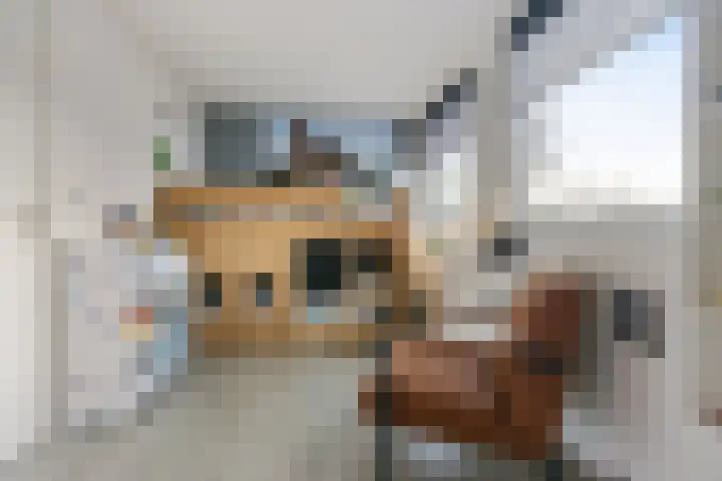 Wulpstraat 1 Heerenveen thumbnail 19