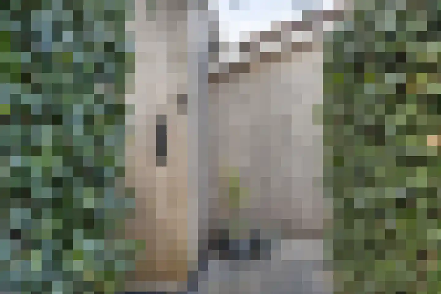 Wulpstraat 1 Heerenveen thumbnail 38