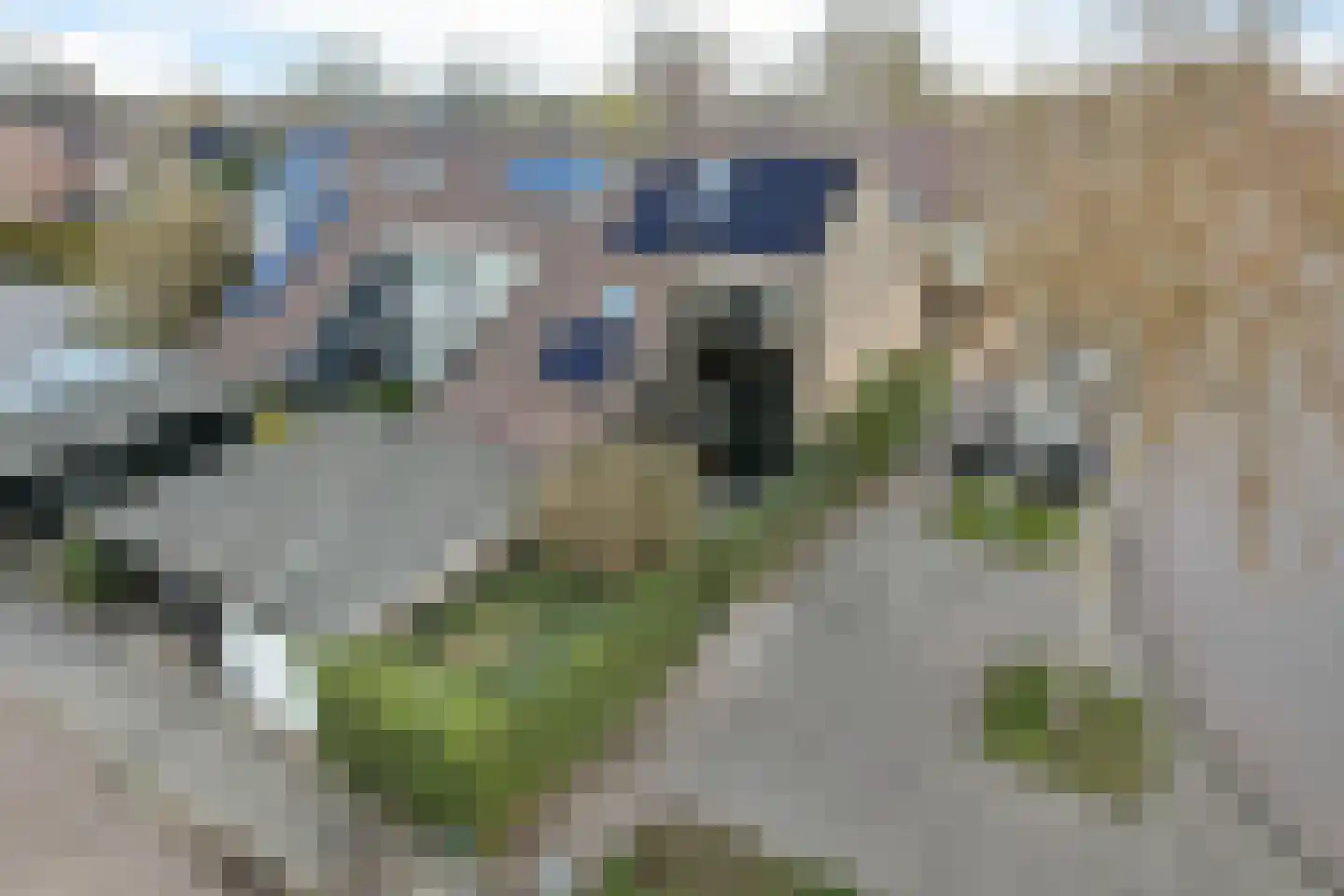 Wulpstraat 1 Heerenveen thumbnail 44