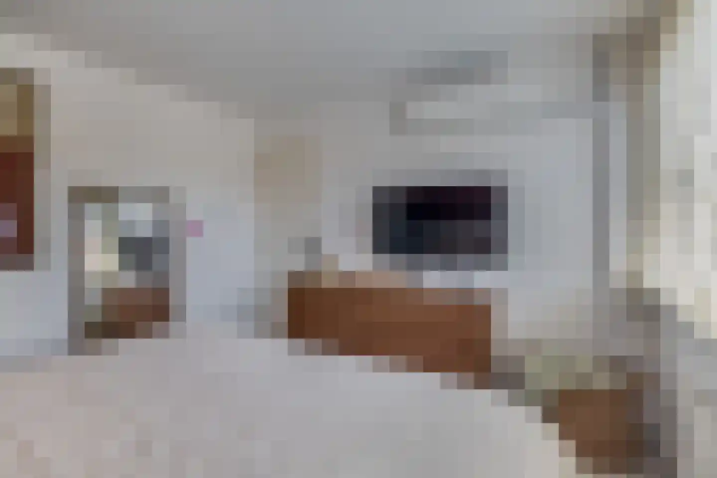 Wulpstraat 10 Krimpen aan den IJssel thumbnail 23