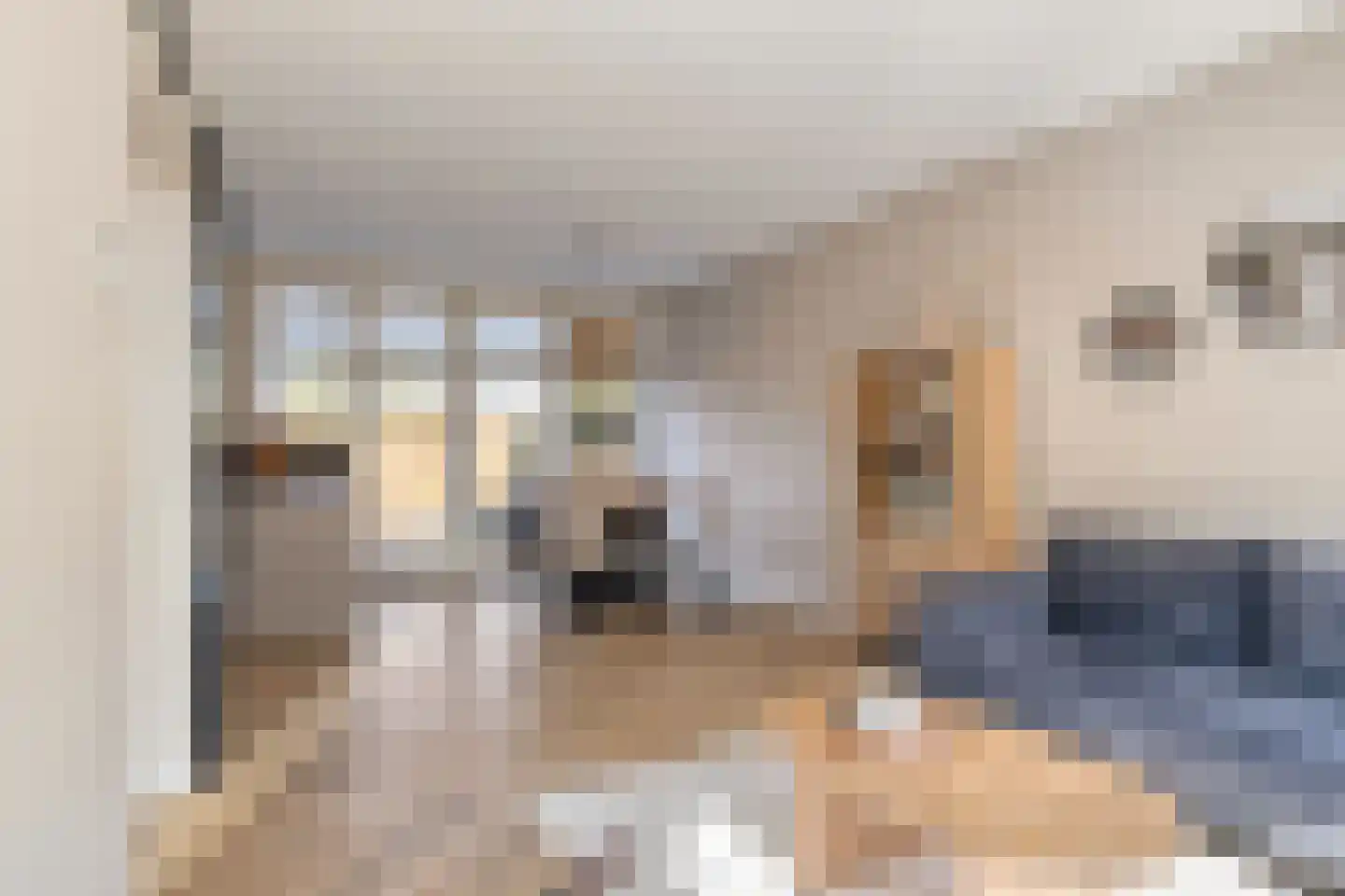 Wulpstraat 11 Krimpen aan den IJssel thumbnail 10