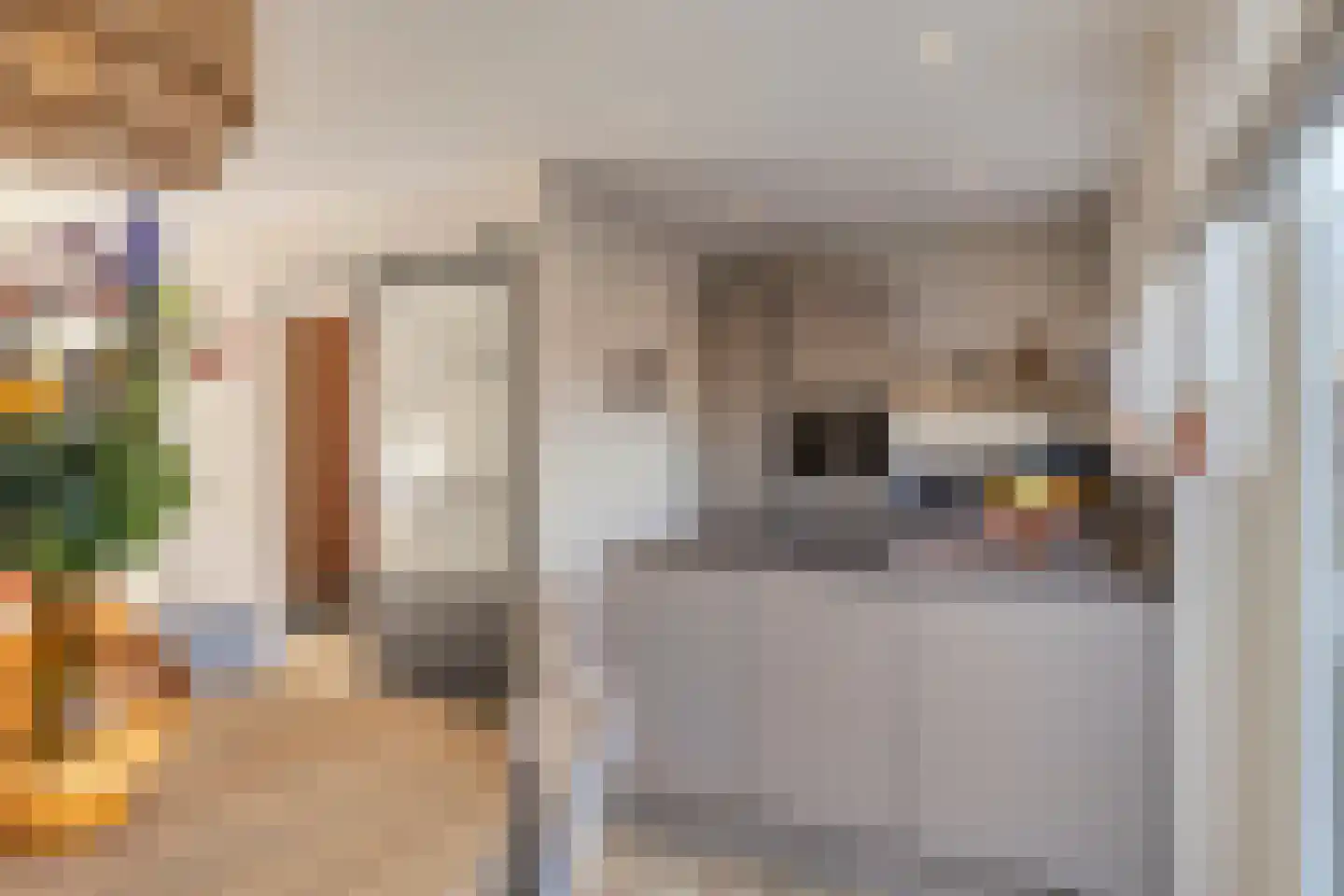 Wulpstraat 11 Krimpen aan den IJssel thumbnail 17