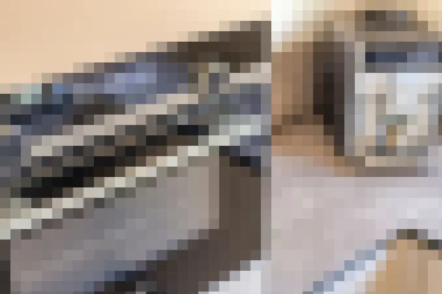 Wulpstraat 11 Krimpen aan den IJssel thumbnail 20