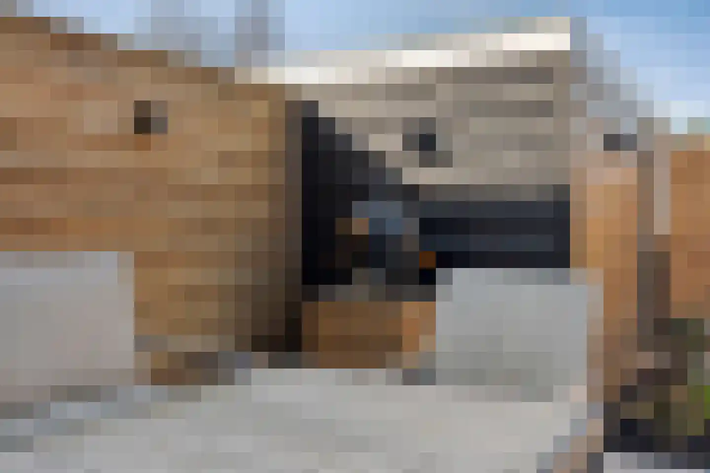 Wulpstraat 11 Krimpen aan den IJssel thumbnail 38
