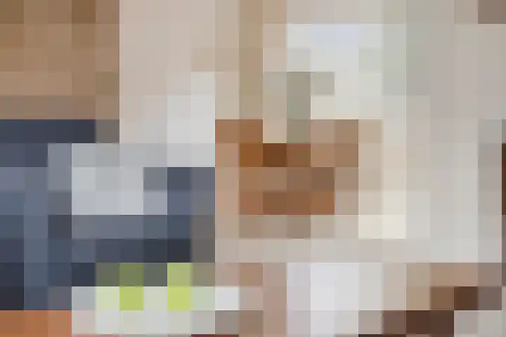 Wulpstraat 15 Hardenberg thumbnail 12