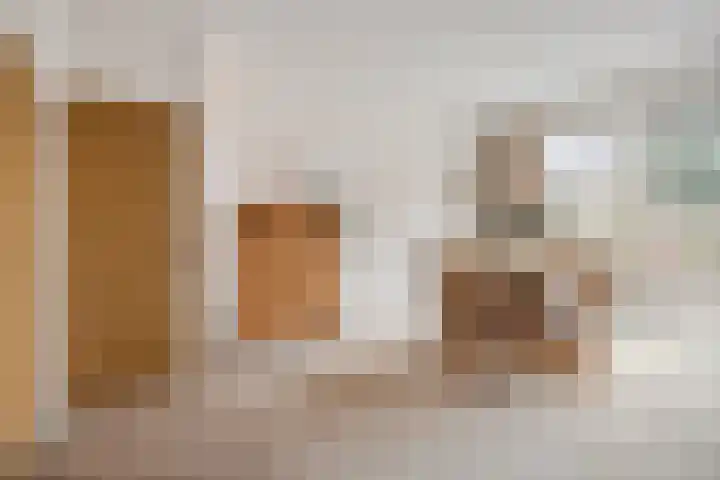 Wulpstraat 15 Hardenberg thumbnail 13